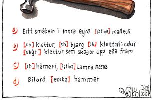 Fréttamynd