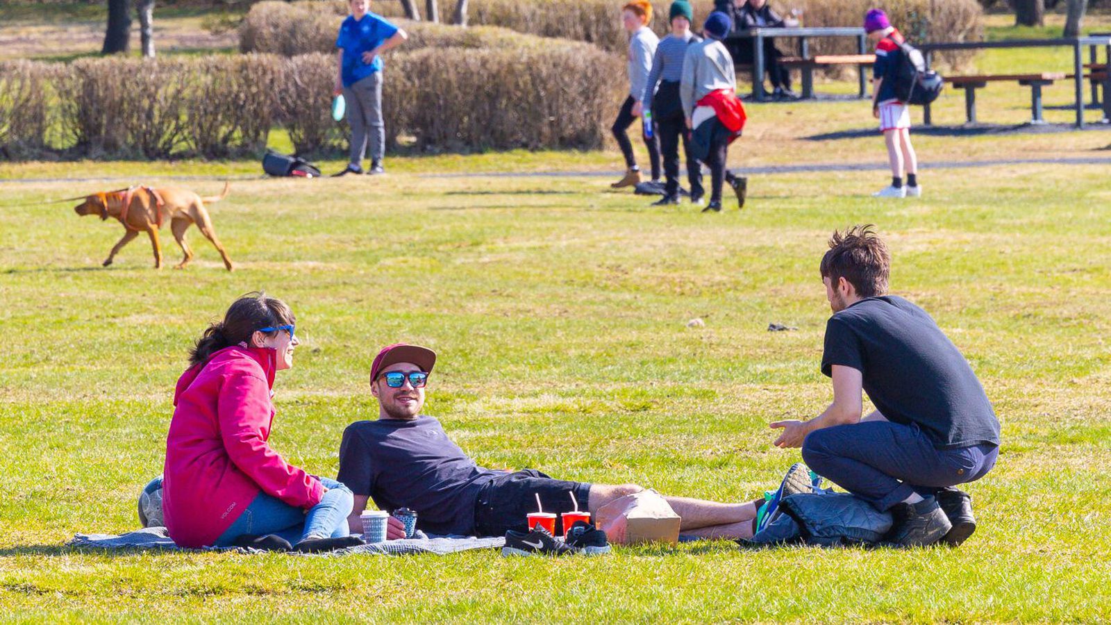 Þeirri gulu mis­jafnt skipt á fyrsta degi sumars