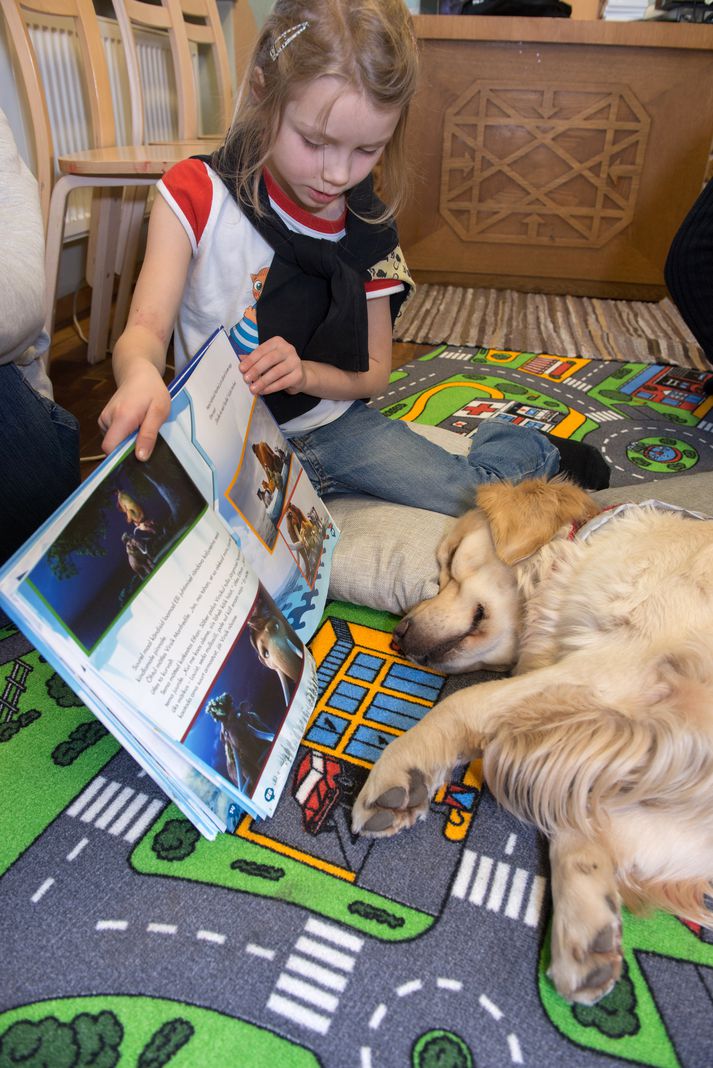 Þessi stúlka les fyrir hundinn Ella, sem er af gerðinni Golden Retriver.