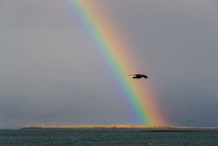 Veðurstofan spáir suðlægri eða breytilegri átt í dag, 3 til 10 metrum á sekúndu.