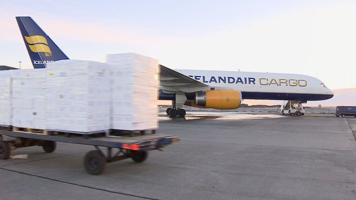 Hvítir frauðkassar, hlaðnir ferskum fiski, á leið um borð í flugvél Icelandair á Keflavíkurflugvelli.