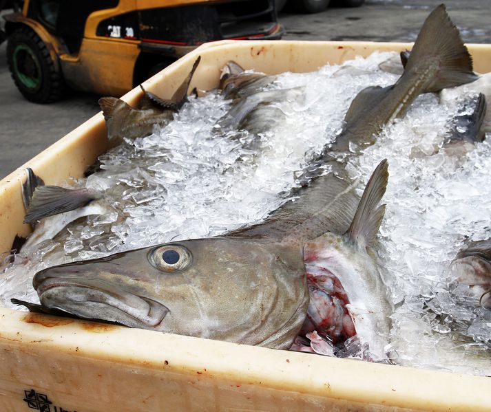 Vinnueftirlitið hafði nokkrum sinnum gert athugasemdir við fiskvinnsluna og ákvað að leggja dagsektir á fyrirtækið vegna vanrækslu á að fara eftir fyrirmælum stofnunarinnar um úrbætur á aðbúnaði, hollustuháttum og öryggi starfsmanna.