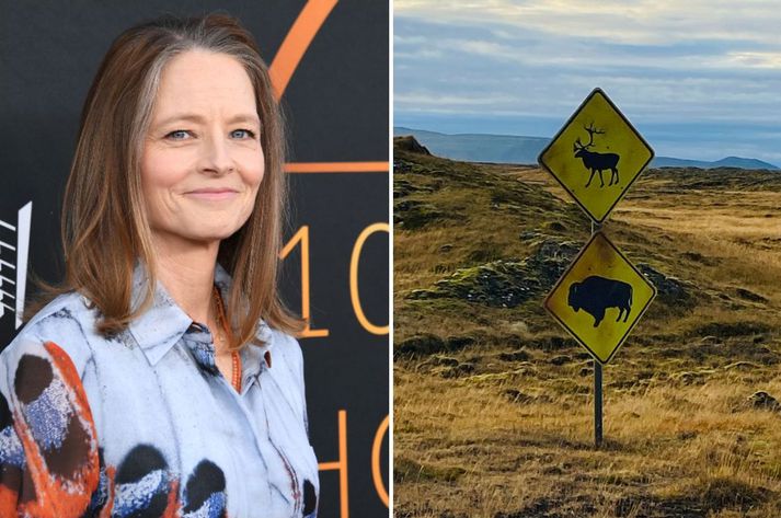 Persóna Jodie Foster þarf að vara sig á elgum og vísundum.