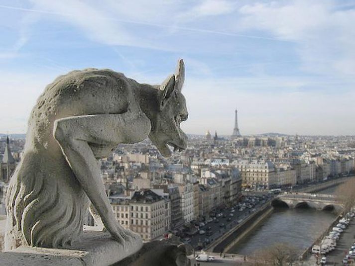 París. Myndin er tekin af þaki Notre Dame dómkirkjunnar.