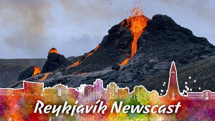 Valur Grettisson, editor-in-chief at Reykjavík Grapevine and Art Bicnick made a video next to the volcano and showed their audience the new volcano in Geldingardalur.