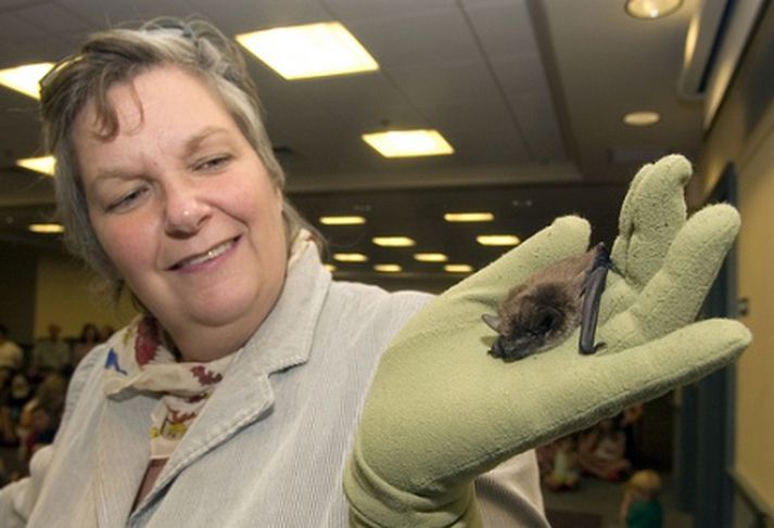 Gerri Griswold gengur undir nafninu Leðurblökukonan í Bandaríkjunum.