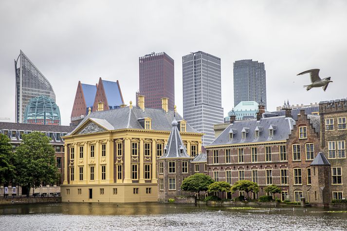 Málverkið hefur verið geymt í Binnenhof, þinghúsi Hollands, í yfir tuttugu ár.