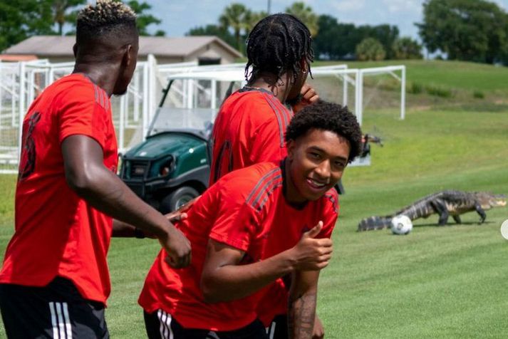 Leikmenn Toronto FC fylgjast með krókódílnum en skiljanlega úr góðri fjarlægð.