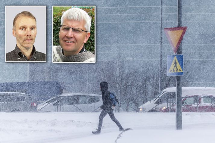 Veðurfræðingarnir Haraldur og Einar segja ýmislegt að frétta af veðri: veturinn er sá kaldasti í 15 ár og sumarið í fyrra það besta í Grímsey í 150 ár.