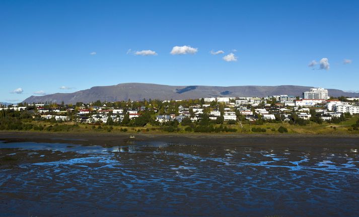 Ökumaðurinn kallaði stuttlega til piltsins í kjölfar þessa og ók svo strax af vettvangi.