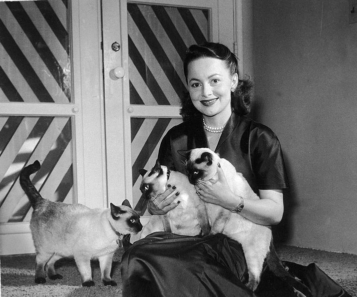 Olivia de Havilland á fimmta áratugnum.