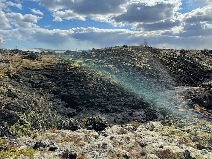 Gróðurinn logaði glatt í hrauninu í Garðabæ.