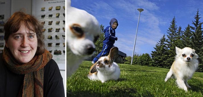 "Þetta fer skánandi en það er furðulegt hvað við erum aftarlega,“ segir Hallgerður Hauksdóttir, formaður Dýraverndarsamtaka Íslands.