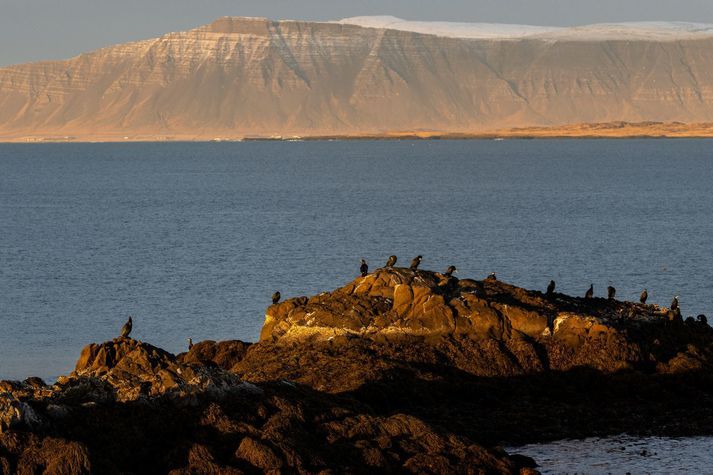 Hiti verður kringum frostmark yfir daginn, en hiti eitt til sex stig sunnan heiða.