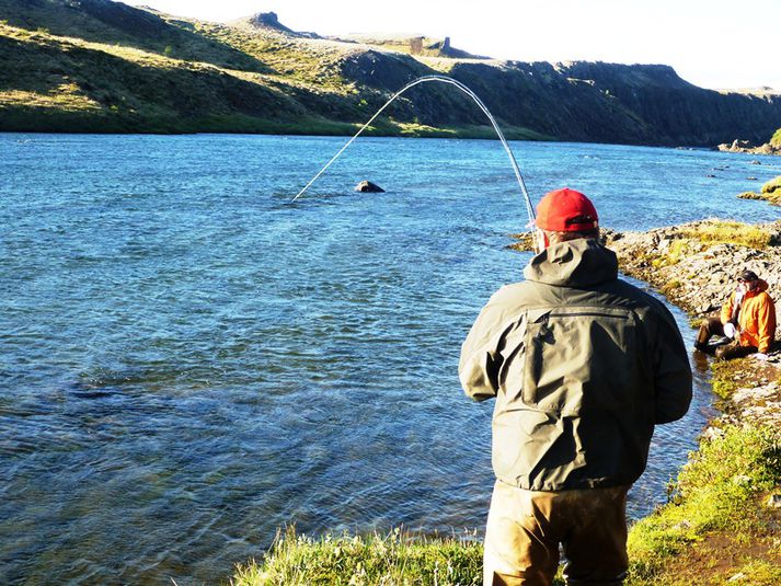 Lax þreyttur í Norðurá