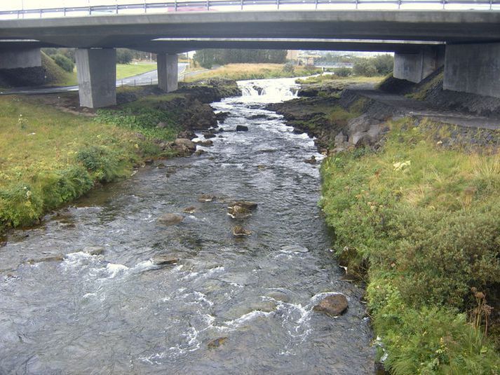 1.182 hafa gengið í Elliðaárnar