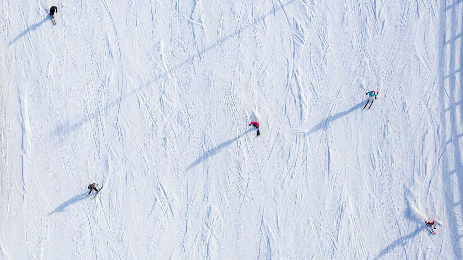 Páskarnir líta þokka­lega út þrátt fyrir kulda