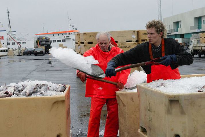 Bein sala útgerða til vinnslu innanlands eykst.fréttablaðið/vilhelm