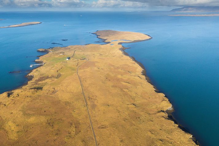 Líkið fannst milli Viðeyjar og Engeyjar. Myndin er úr safni.