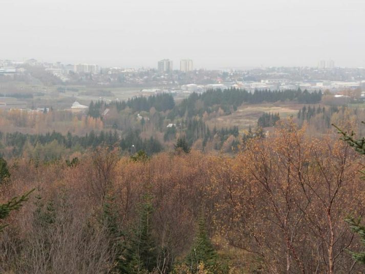 Styrkur svifryks var hár á nokkrum mælistöðvum í borginni í morgun.