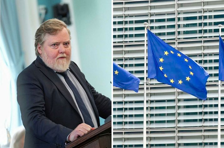 Sigmundur Davíð Gunnlaugsson þingmaður Miðflokksins situr í utanríkismálanefnd.