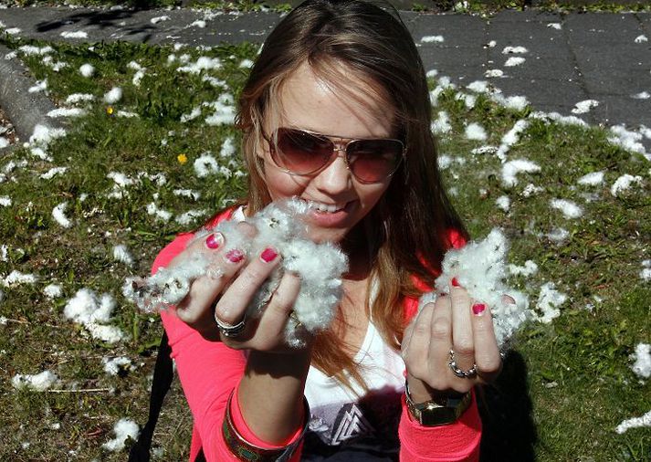 Oft er hvítt yfir að líta vegna asparfrjóa.