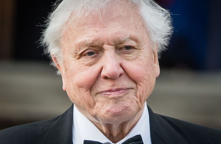 Sir David Attenborough lætur enn til sín taka  í baráttunni við lofslagsbreytingar.