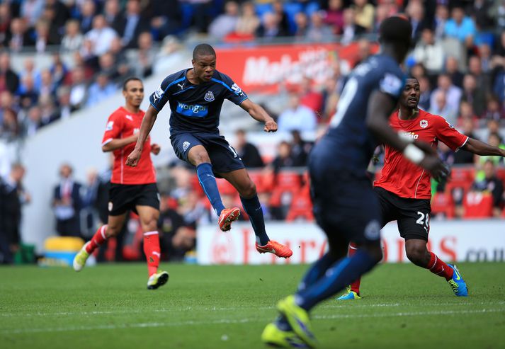 Loic Remy var á skotskónum fyrir Newcastle í dag.