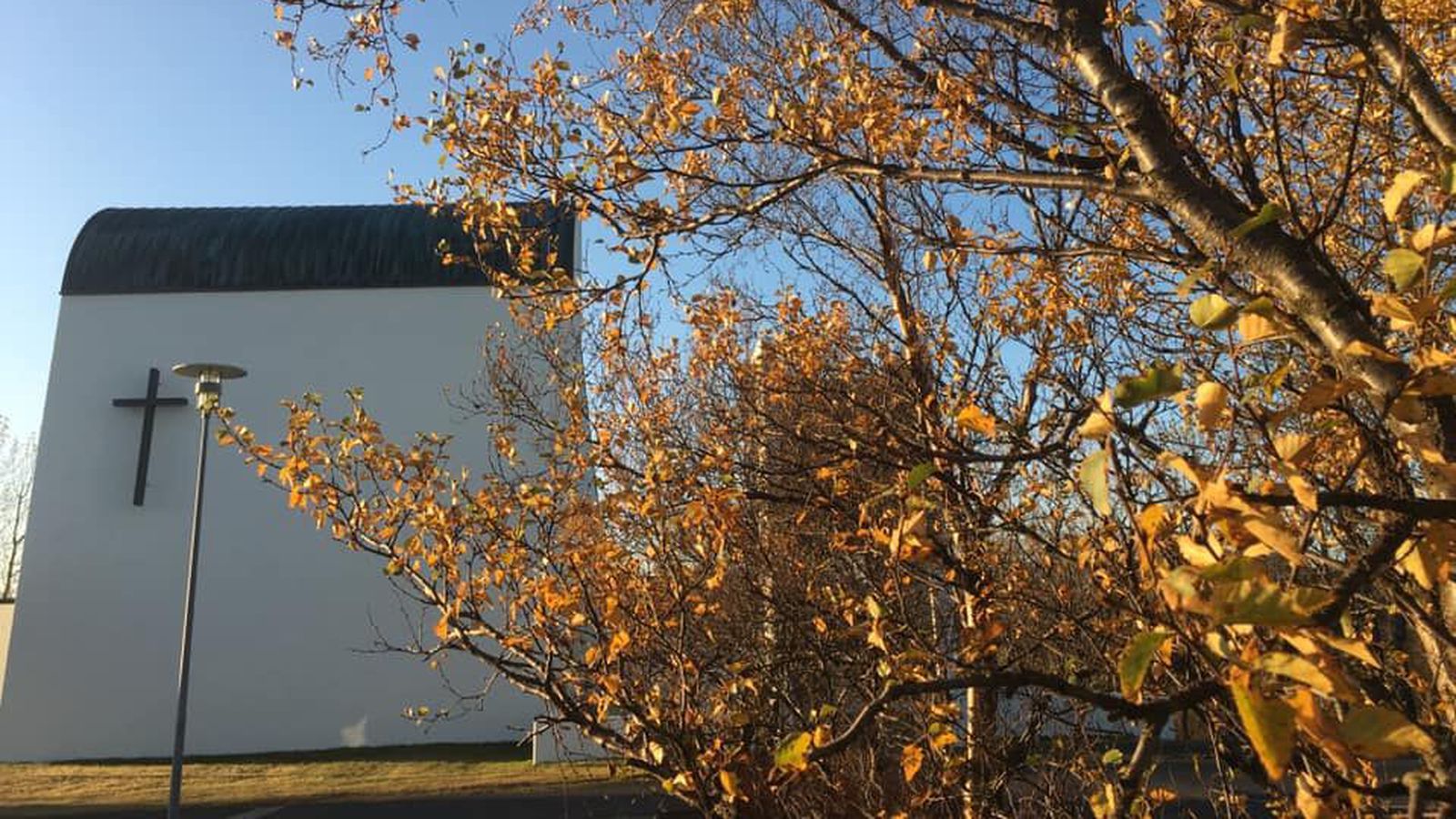 Opna dyr sínar vegna slyssins á Miklu­braut