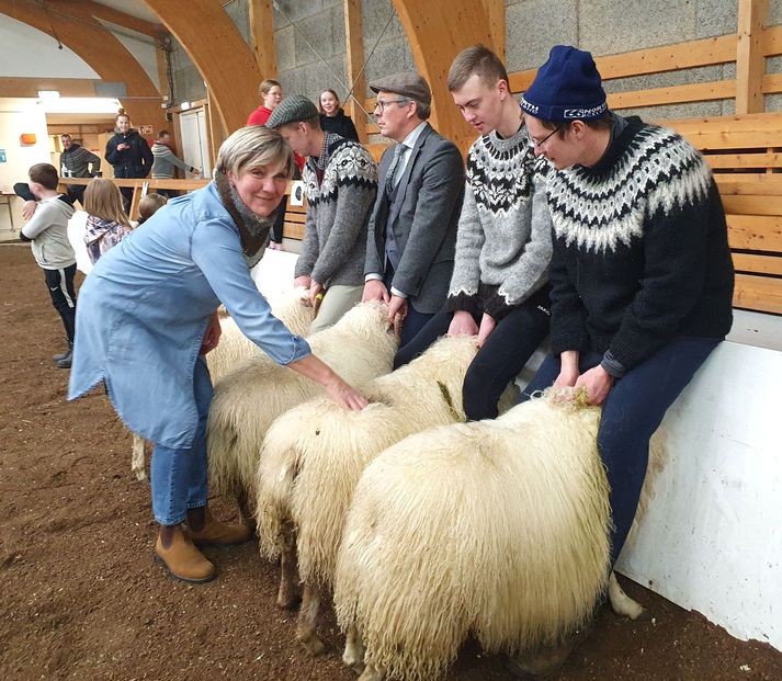 Stína kokkur sýndi góð tilþrif í þuklinu á hrútasýninigunni í reiðhöllinni á Flúðum.