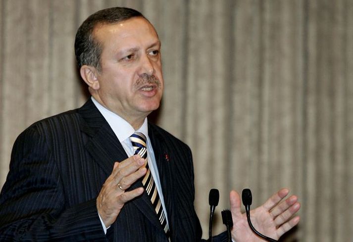 Erdogan hefur átt í viðræðum við forsvarsmenn CIA og FBI að undanförnu um samtarf í stríðinu gegn hryðjuverkum.