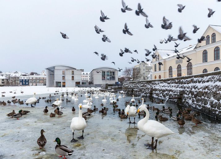 Ríkið hyggst ekki greiða kröfu borgarinnar. 