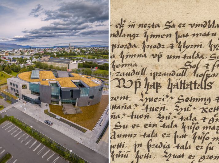 Trektarbók varðveitir fornlegustu og upphaflegustu uppskrift Snorra-Eddu sem vitað er um.