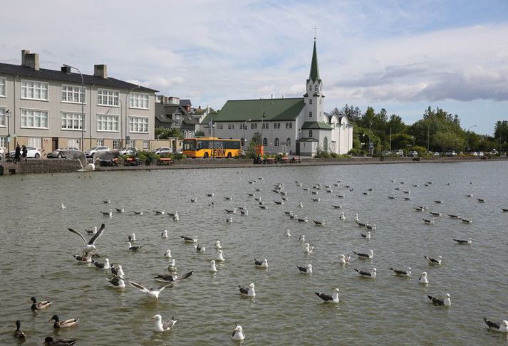 Það ætti ekki að væsa um endurna og mávana  á Reykjavíkurtjörn næstu daga.