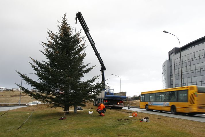 Bærinn er allur að færast í jólabúninginn.