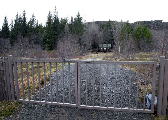 Ólafur Örn Haraldsson þjóðgarðsvörður segir að til að bæta til muna ásýnd þjóðgarðsins eigi að uppræta grenilund milli Valhallarlóðarinnar og minningarreitsins um Bjarna Benediktsson fyrrverandi forsætisráðherrra. 