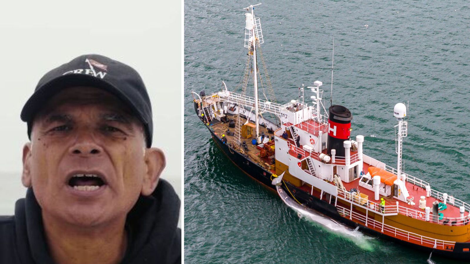 Bjóða 250 þúsund krónur fyrir stað­setningu hval­veiði­skipanna