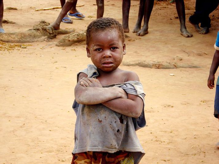 Malavíska hagkerfið er rúmlega helmingi minna en hið íslenska, þrátt fyrir að í Malaví búi tæplega fjórtán milljónir manna.