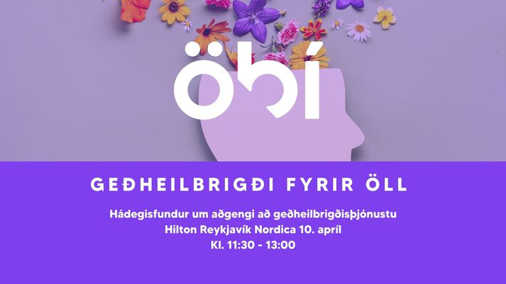 Fundurinn hefst klukkan 11:30 til 13:00.