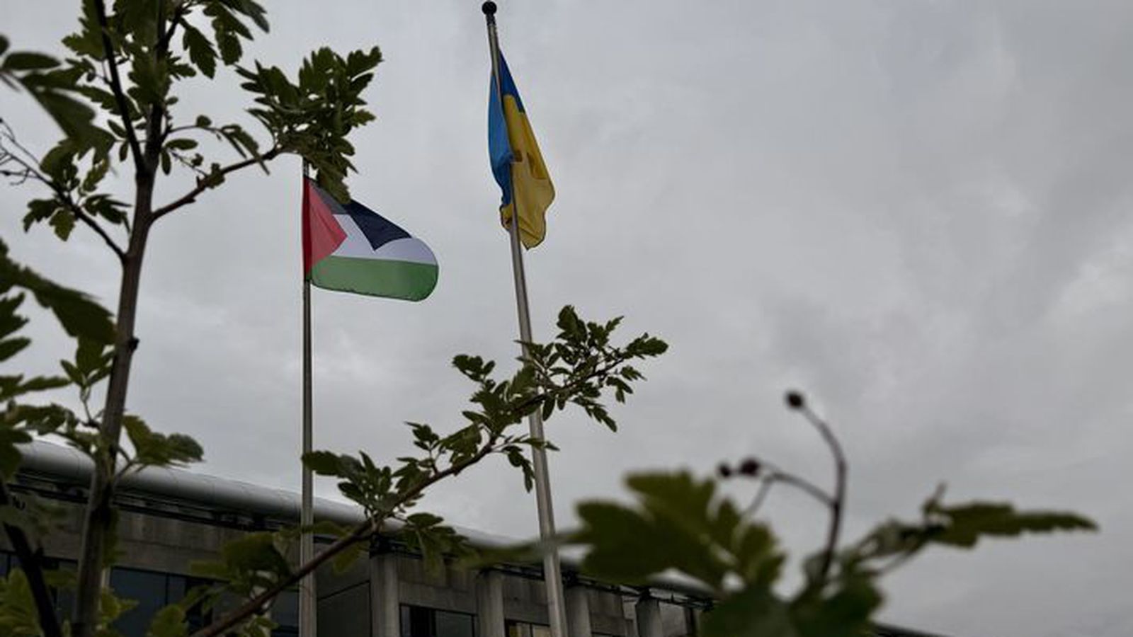 Vilja búa til „friðarfána“ svo ekki þurfi að flagga er­lendum fánum