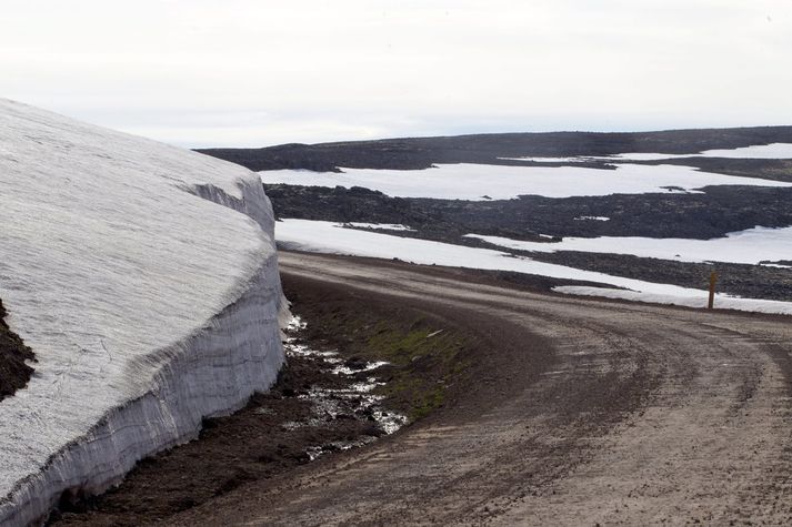 Á Dynjandisheiði.