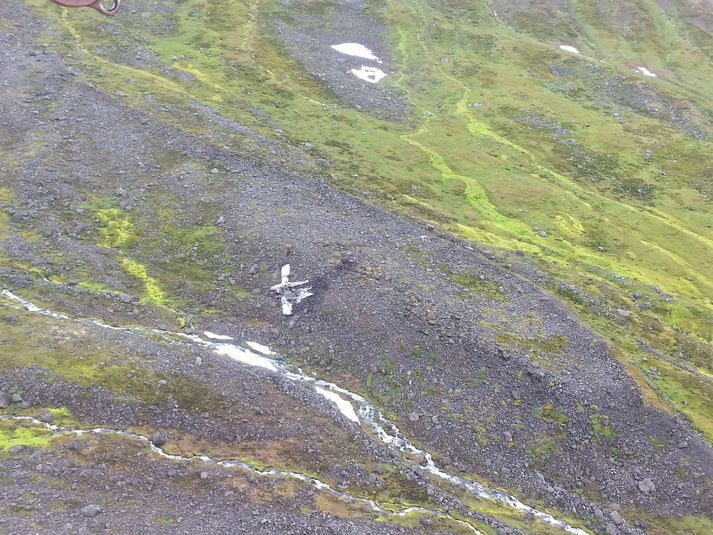 Flak Beaver-sjóflugvélar Arngríms Jóhannssonar á slysstað í Barkárdal. Myndina tók Landhelgisgæslan þegar hún flutti flugslysanefnd á vettvang slyssins í dag.