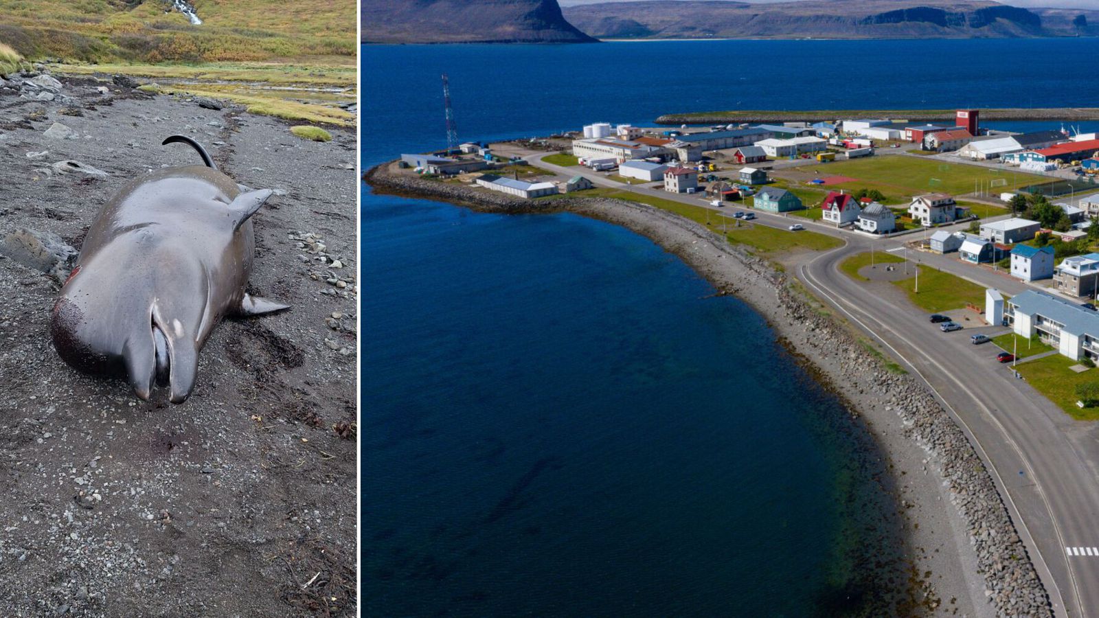 „Þetta er örugg­lega dauða­stríð sem tekur langan tíma“