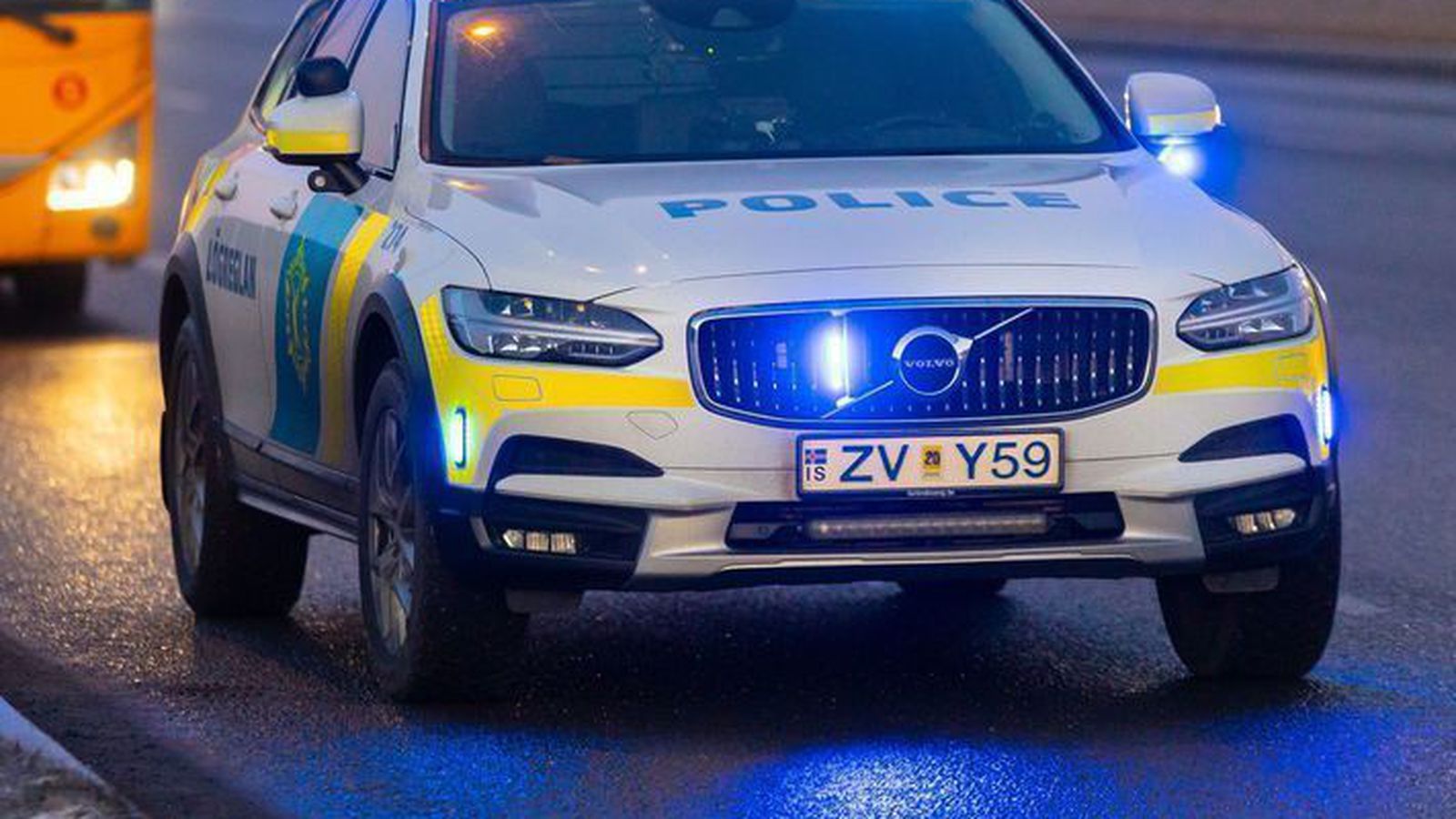 Reyndi að kveikja í bíl