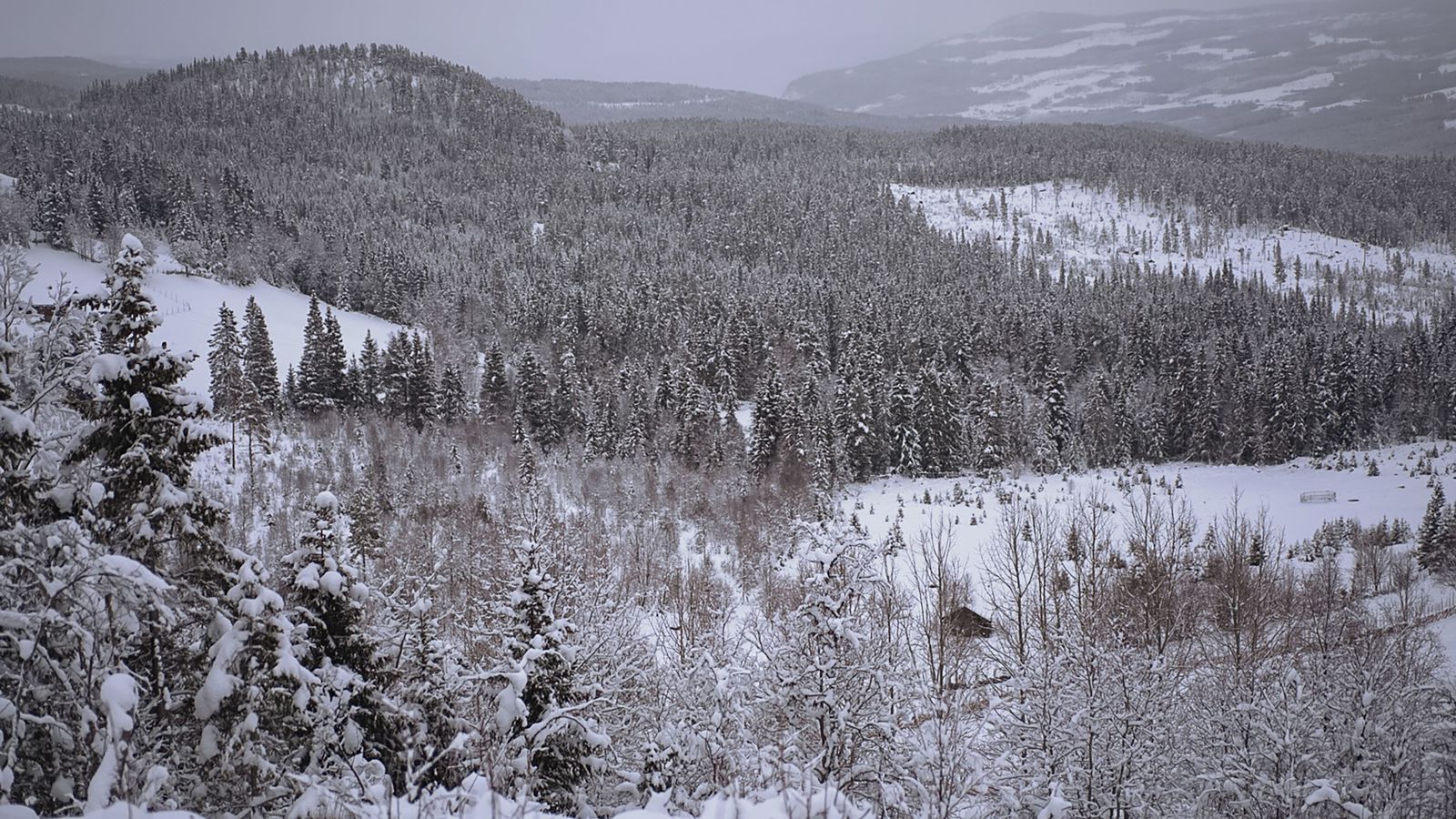 Tveir létust í snjó­flóði í Hemsedal