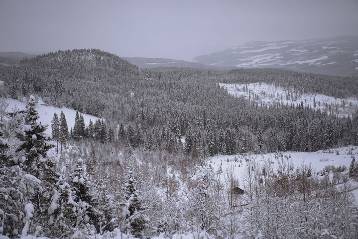 Hlíðarnar umhverfis Hemsedal í Hallingdal.