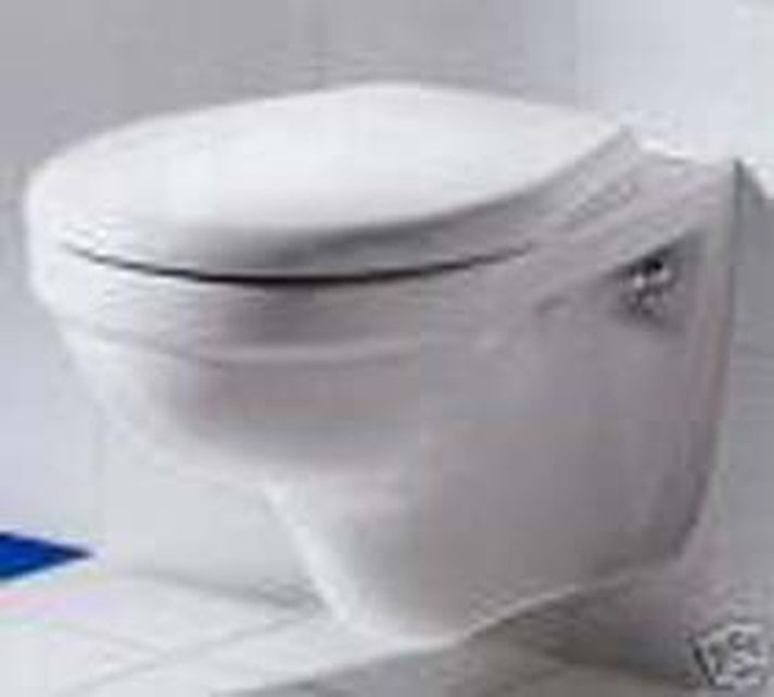 Sex af hverjum tíu Dönum hafa talað í GSM síma á meðan þeir sátu á klósettinu.