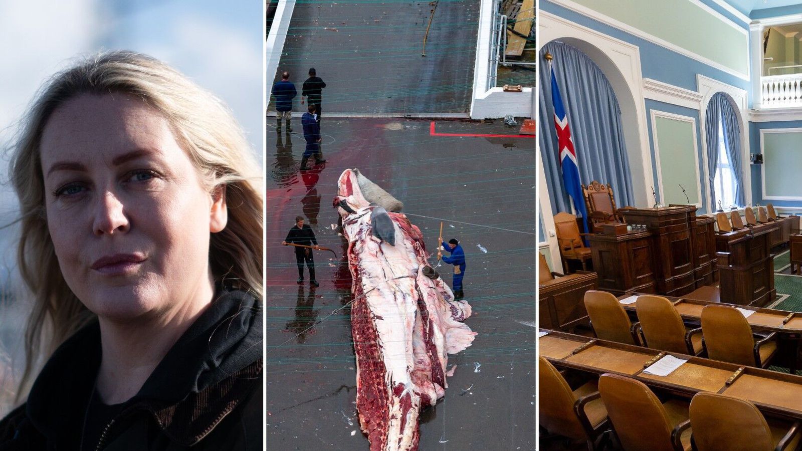 Óttast að um­ræðan muni dragast fram á sumar