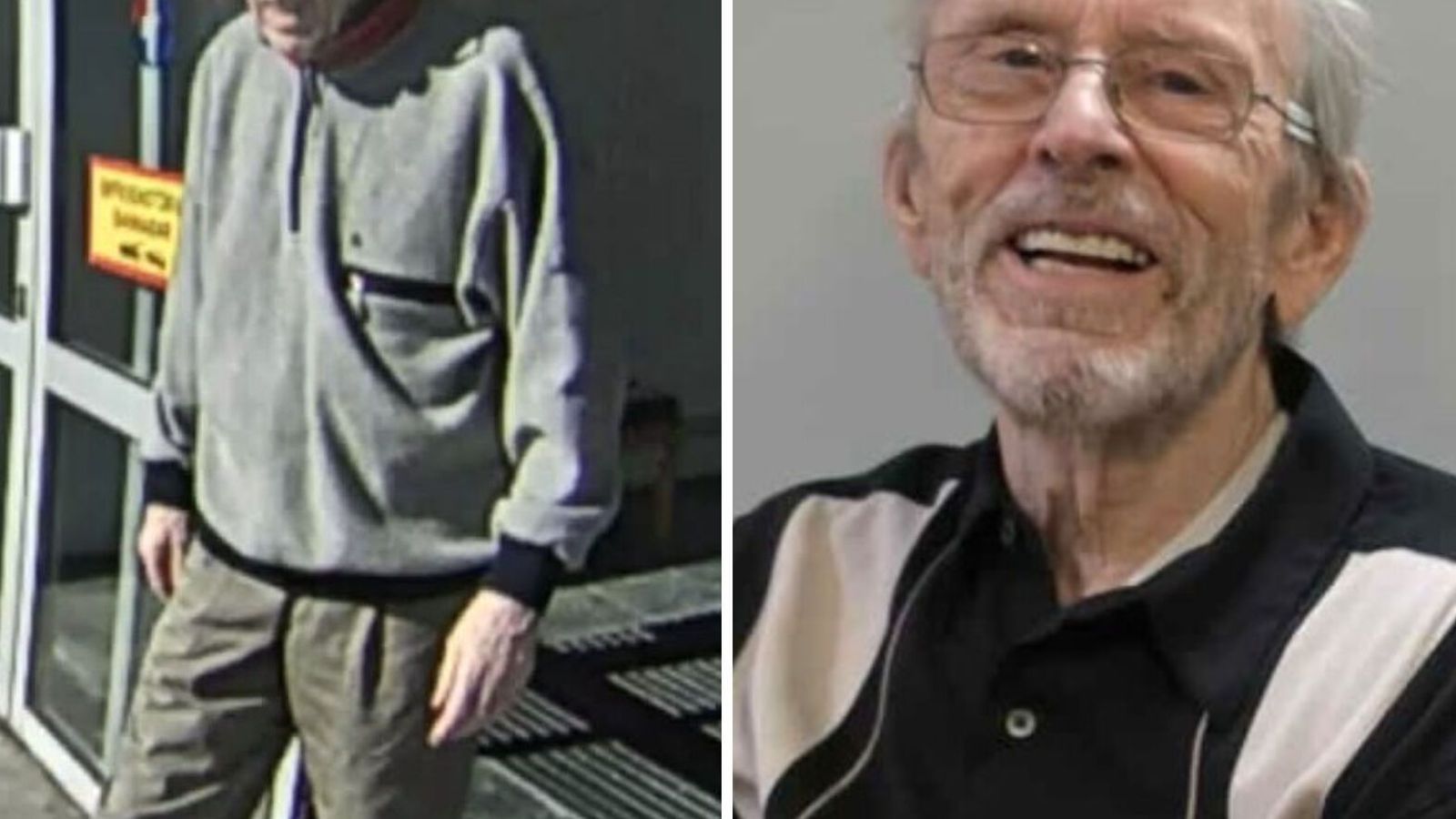 Lýstu eftir manni á ní­ræðis­aldri