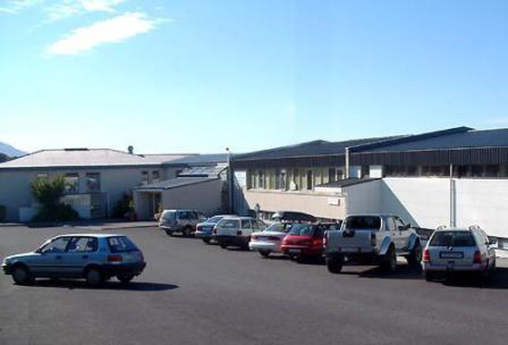 Ríkisendurskoðun telur að þörf sé á að heilbrigðisráðuneytið skilgreini nánar í samráði við stofnunina hvaða þjónustu skuli veita .